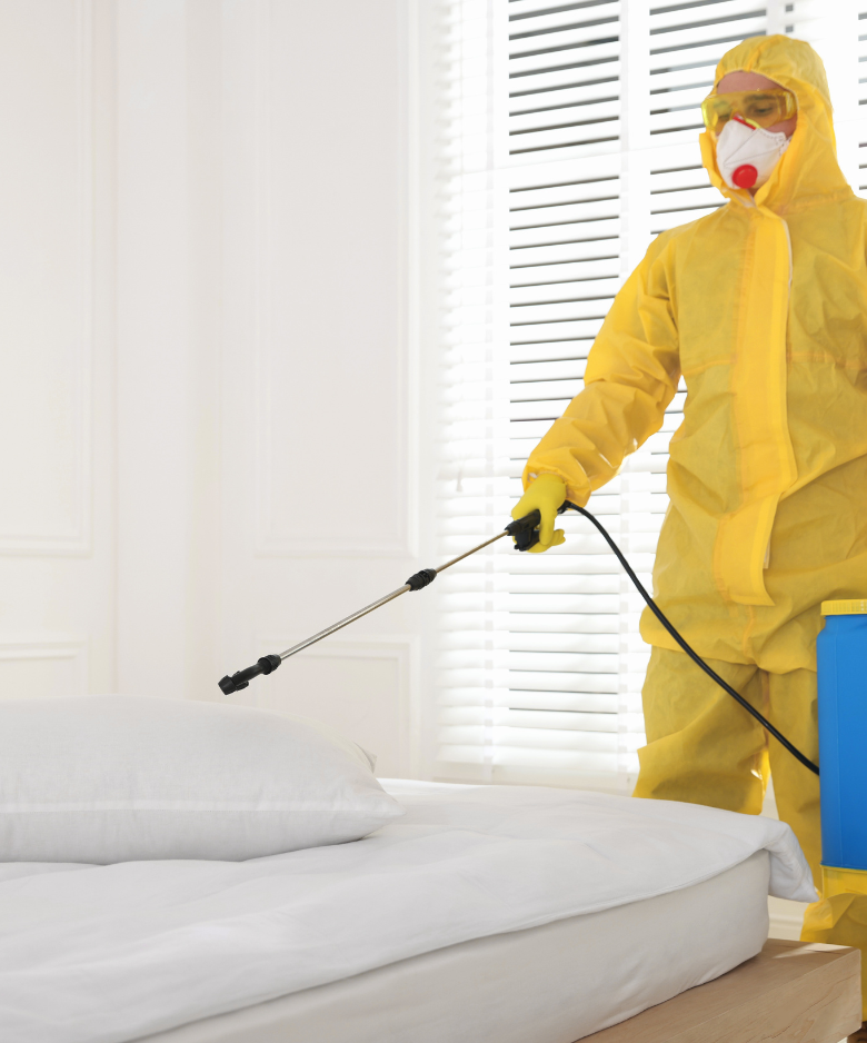 Professional Pest Control Team in Penfield